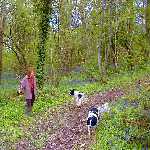 bridleway