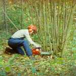 coppicing