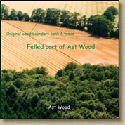 Ast Wood showing a substantial area felled by the millenium