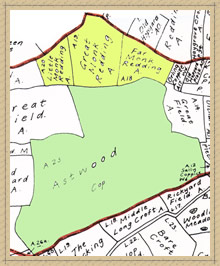 monk field names map